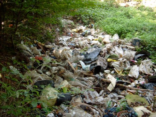 V Občini Kuzma na prebivalca počistili največ v Pomurju